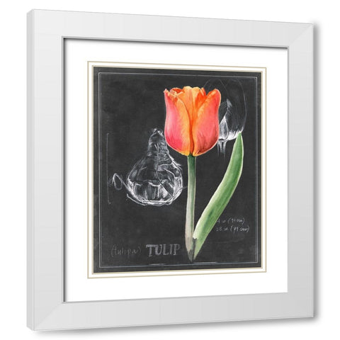 Chalkboard Flower III White Modern Wood Framed Art Print with Double Matting by Parker, Jennifer Paxton