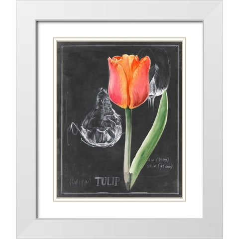 Chalkboard Flower III White Modern Wood Framed Art Print with Double Matting by Parker, Jennifer Paxton