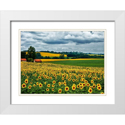 Pastoral Countryside IV White Modern Wood Framed Art Print with Double Matting by Chester, Colby