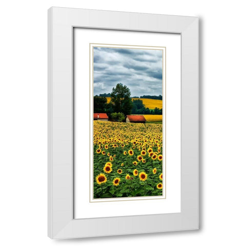 Pastoral Countryside IV - A White Modern Wood Framed Art Print with Double Matting by Chester, Colby