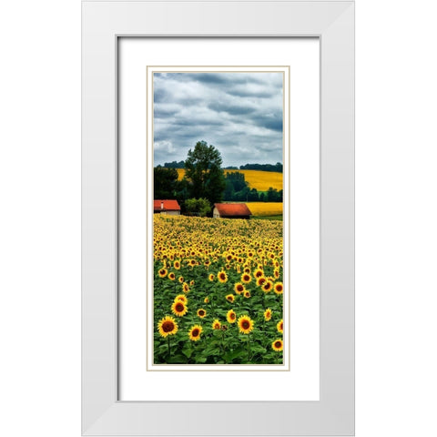 Pastoral Countryside IV - A White Modern Wood Framed Art Print with Double Matting by Chester, Colby