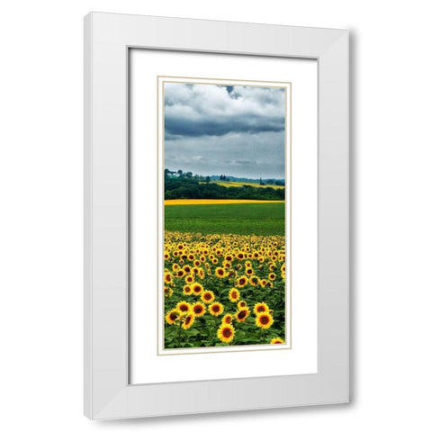 Pastoral Countryside IV - C White Modern Wood Framed Art Print with Double Matting by Chester, Colby