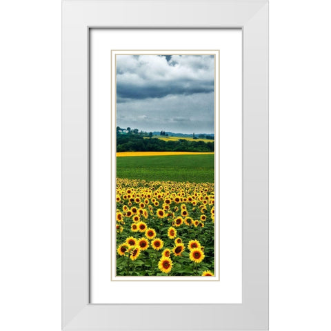 Pastoral Countryside IV - C White Modern Wood Framed Art Print with Double Matting by Chester, Colby