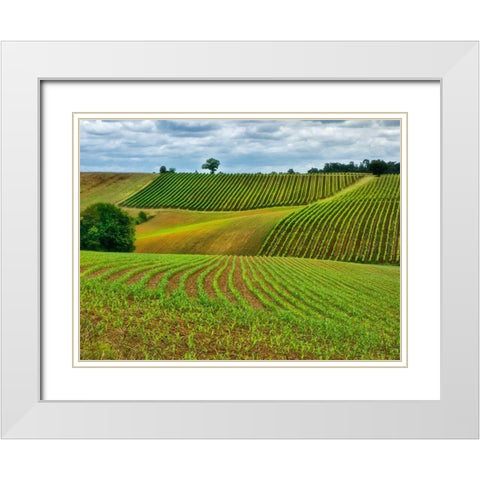Pastoral Countryside VI White Modern Wood Framed Art Print with Double Matting by Chester, Colby