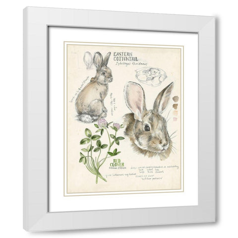 Wildlife Journals II White Modern Wood Framed Art Print with Double Matting by Parker, Jennifer Paxton