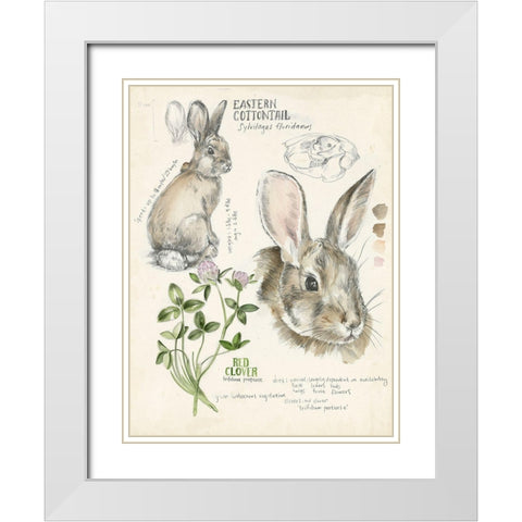 Wildlife Journals II White Modern Wood Framed Art Print with Double Matting by Parker, Jennifer Paxton