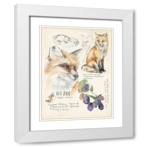 Wildlife Journals III White Modern Wood Framed Art Print with Double Matting by Parker, Jennifer Paxton