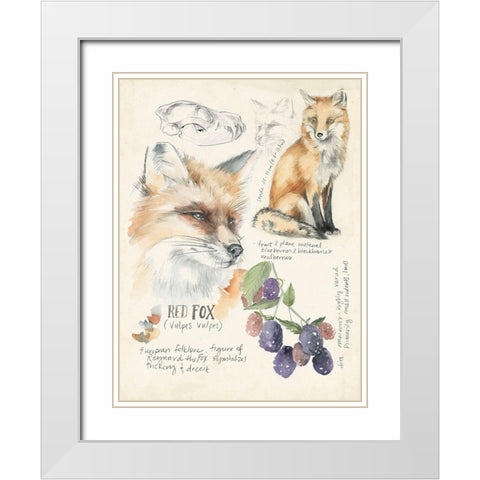 Wildlife Journals III White Modern Wood Framed Art Print with Double Matting by Parker, Jennifer Paxton