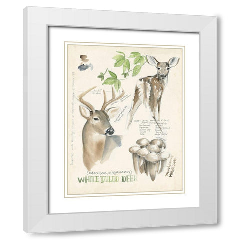 Wildlife Journals IV White Modern Wood Framed Art Print with Double Matting by Parker, Jennifer Paxton
