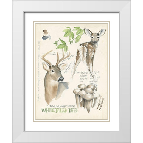 Wildlife Journals IV White Modern Wood Framed Art Print with Double Matting by Parker, Jennifer Paxton