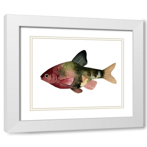 Rainbow Fish IV White Modern Wood Framed Art Print with Double Matting by Scarvey, Emma