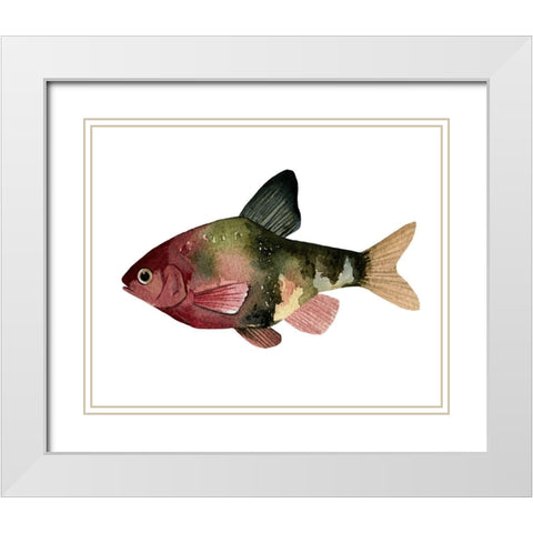 Rainbow Fish IV White Modern Wood Framed Art Print with Double Matting by Scarvey, Emma