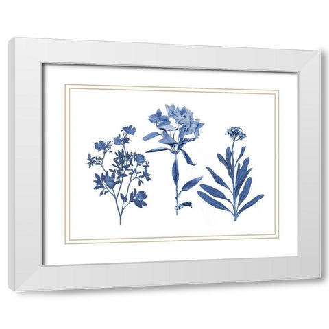 Indigo Pressed Florals II White Modern Wood Framed Art Print with Double Matting by Studio W