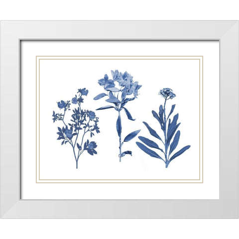Indigo Pressed Florals II White Modern Wood Framed Art Print with Double Matting by Studio W