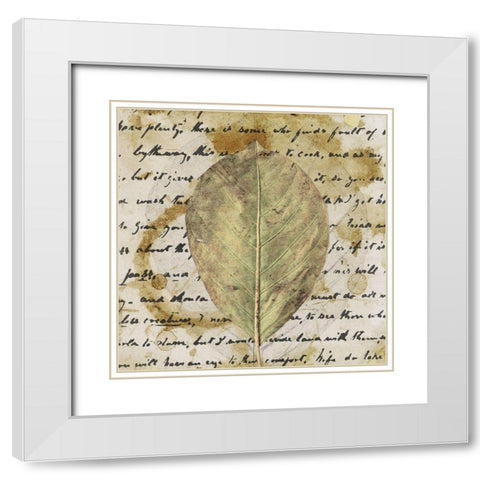 Earth Leaf II White Modern Wood Framed Art Print with Double Matting by Saunders, Alonzo