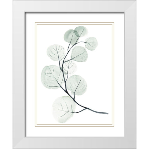 Silver Dollars I White Modern Wood Framed Art Print with Double Matting by Parker, Jennifer Paxton