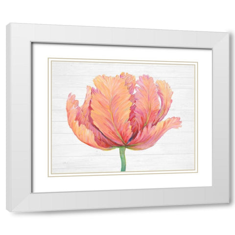 Single Pink Bloom I White Modern Wood Framed Art Print with Double Matting by OToole, Tim