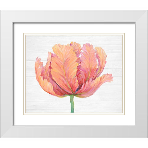 Single Pink Bloom I White Modern Wood Framed Art Print with Double Matting by OToole, Tim