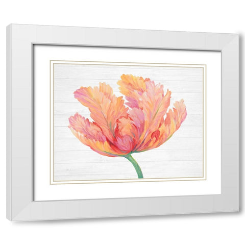 Single Pink Bloom II White Modern Wood Framed Art Print with Double Matting by OToole, Tim