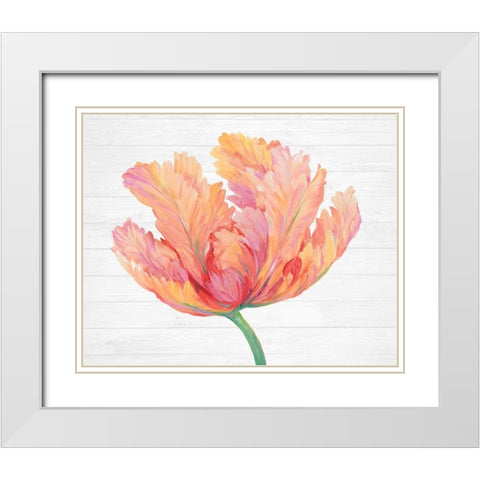 Single Pink Bloom II White Modern Wood Framed Art Print with Double Matting by OToole, Tim