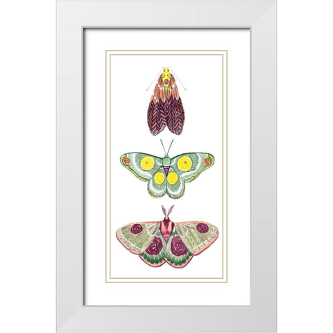 Moth Fairies I White Modern Wood Framed Art Print with Double Matting by Popp, Grace