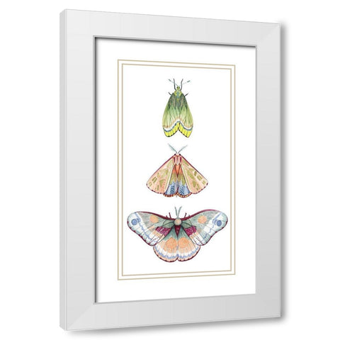 Moth Fairies II White Modern Wood Framed Art Print with Double Matting by Popp, Grace
