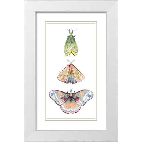 Moth Fairies II White Modern Wood Framed Art Print with Double Matting by Popp, Grace