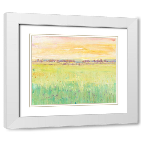 Spring Pasture II White Modern Wood Framed Art Print with Double Matting by OToole, Tim