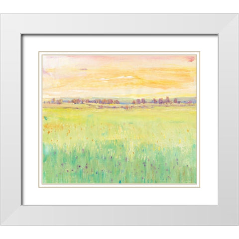 Spring Pasture II White Modern Wood Framed Art Print with Double Matting by OToole, Tim