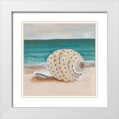 She Sells Seashells II White Modern Wood Framed Art Print with Double Matting by Ludwig, Alicia