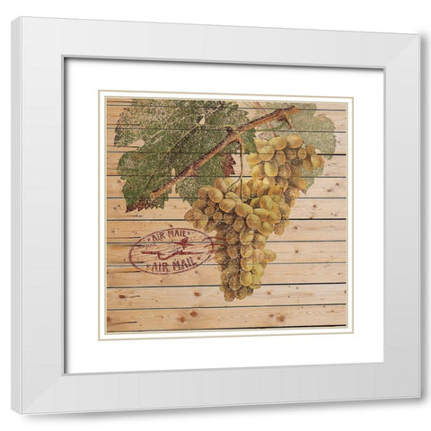 Grape Crate II White Modern Wood Framed Art Print with Double Matting by Nobleworks Inc.