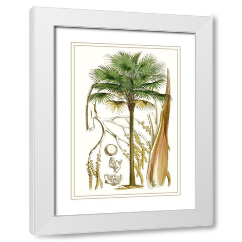 Curtis Palms I White Modern Wood Framed Art Print with Double Matting by Curtis