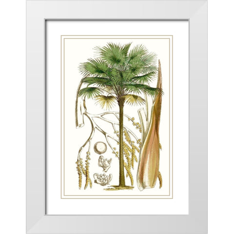 Curtis Palms I White Modern Wood Framed Art Print with Double Matting by Curtis