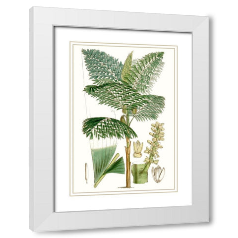 Curtis Palms II White Modern Wood Framed Art Print with Double Matting by Curtis
