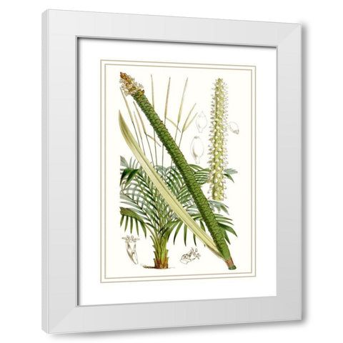 Curtis Palms III White Modern Wood Framed Art Print with Double Matting by Curtis