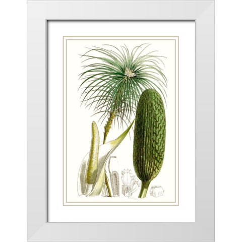 Curtis Palms IV White Modern Wood Framed Art Print with Double Matting by Curtis