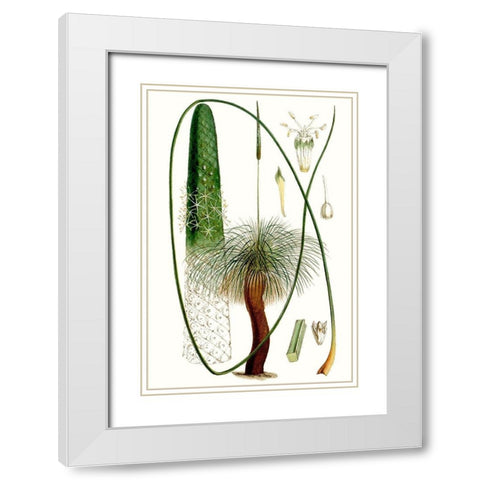Curtis Palms V White Modern Wood Framed Art Print with Double Matting by Curtis