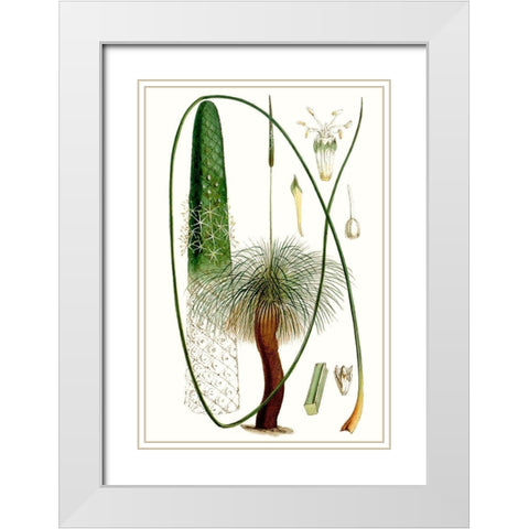 Curtis Palms V White Modern Wood Framed Art Print with Double Matting by Curtis