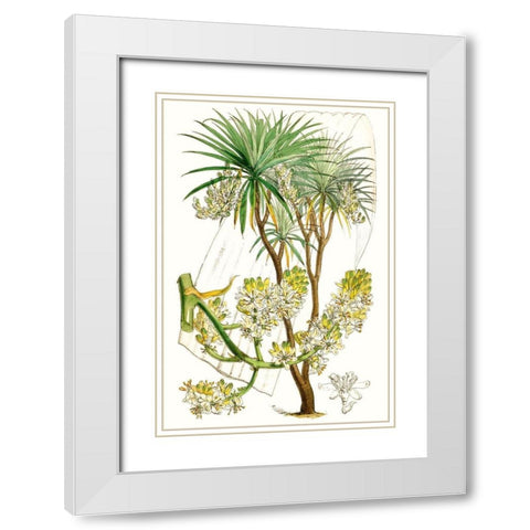 Curtis Palms VI White Modern Wood Framed Art Print with Double Matting by Curtis