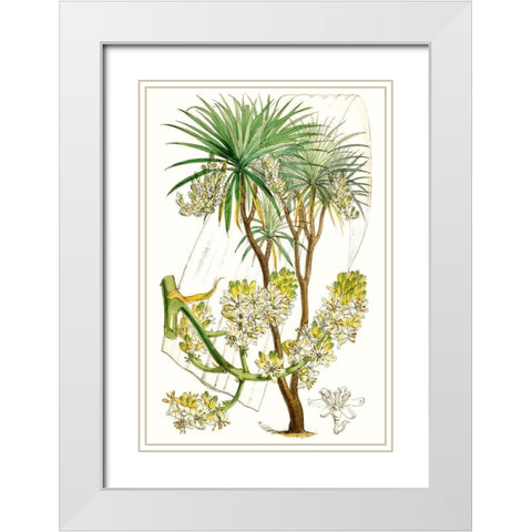 Curtis Palms VI White Modern Wood Framed Art Print with Double Matting by Curtis