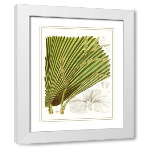 Palm Melange I White Modern Wood Framed Art Print with Double Matting by Curtis