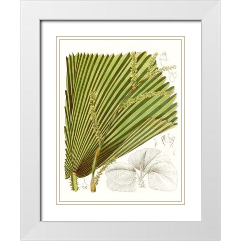 Palm Melange I White Modern Wood Framed Art Print with Double Matting by Curtis