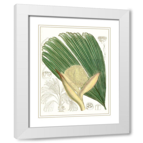 Palm Melange II White Modern Wood Framed Art Print with Double Matting by Curtis