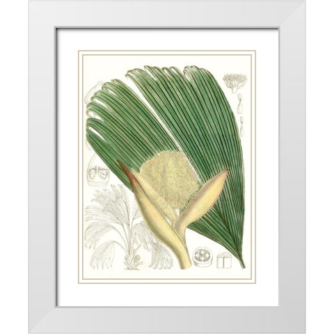 Palm Melange II White Modern Wood Framed Art Print with Double Matting by Curtis