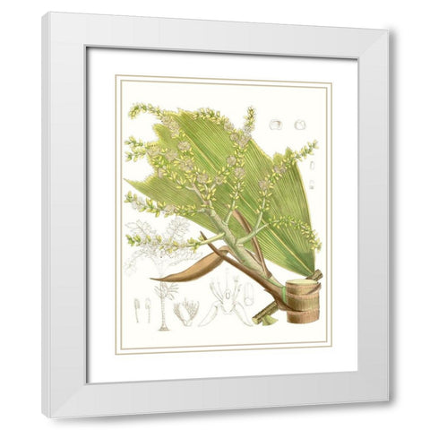 Palm Melange III White Modern Wood Framed Art Print with Double Matting by Curtis