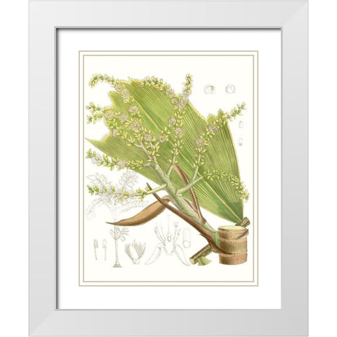 Palm Melange III White Modern Wood Framed Art Print with Double Matting by Curtis