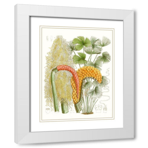 Palm Melange IV White Modern Wood Framed Art Print with Double Matting by Curtis