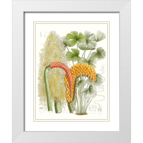 Palm Melange IV White Modern Wood Framed Art Print with Double Matting by Curtis