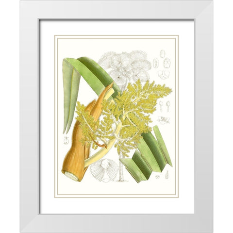 Palm Melange V White Modern Wood Framed Art Print with Double Matting by Curtis