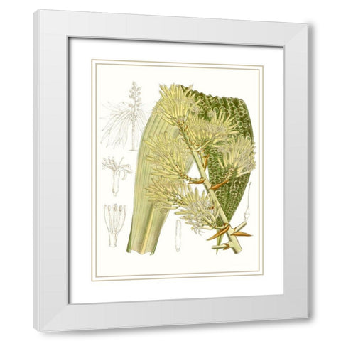 Palm Melange VI White Modern Wood Framed Art Print with Double Matting by Curtis